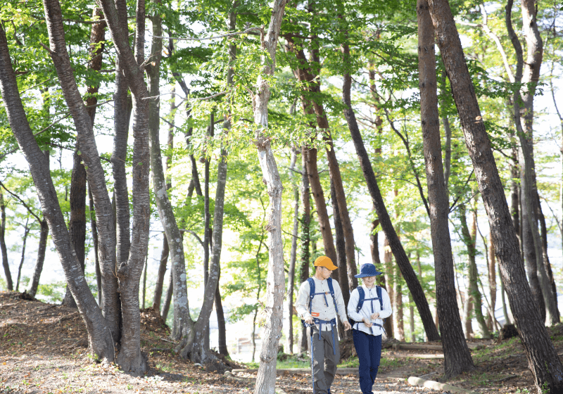 林の中でハイキングをする男女
